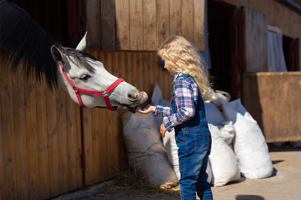 petite fille nourrissant des bottes de scooter de cheval