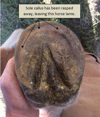 Caring About Horse Hoof Calluses…