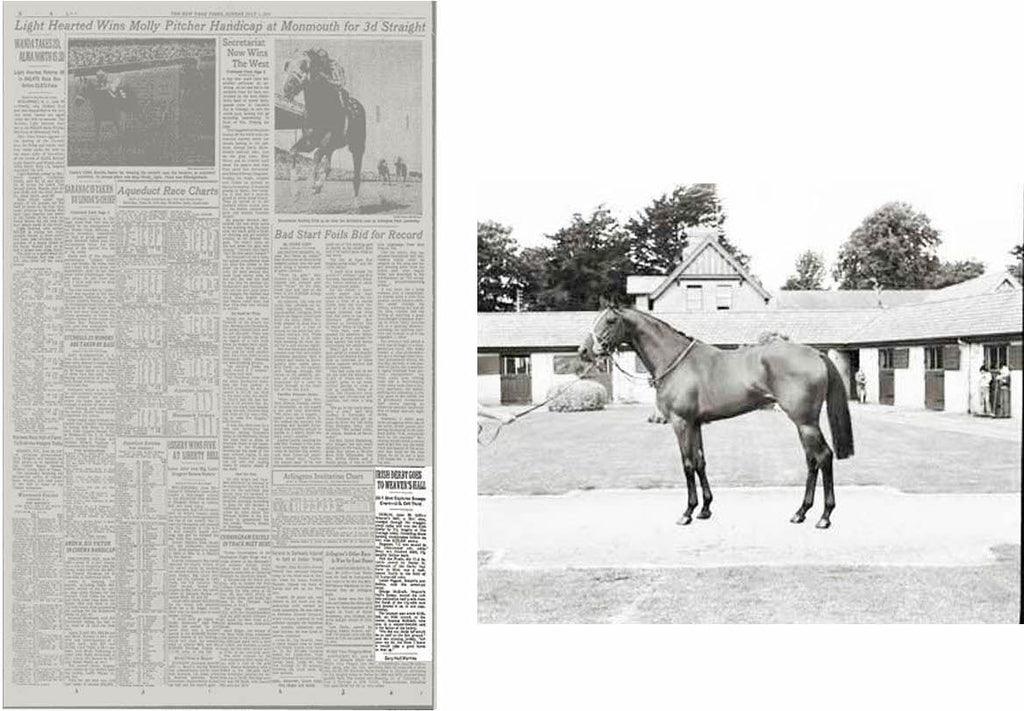 Votre cheval souffre-t-il de fissures dans les sabots ? Pieds nus peut être la réponse !