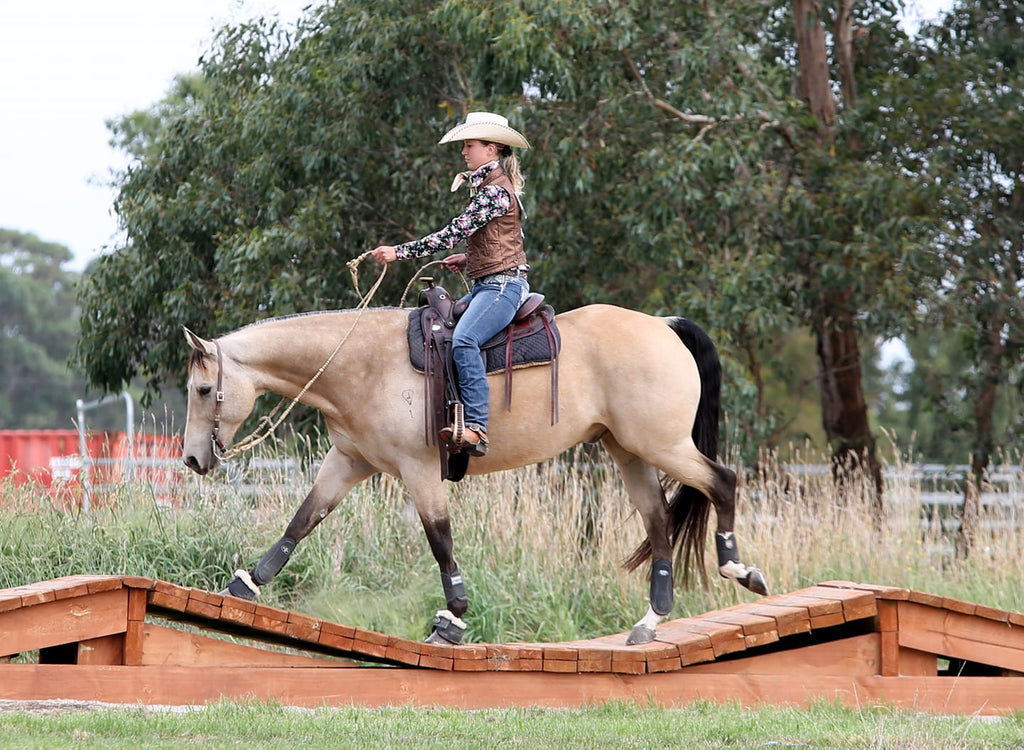 Do you Love the Natural Approach for Your Horse? Then the Barefoot Movement is for you!