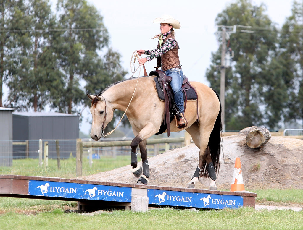 Do you Love the Natural Approach for Your Horse? Then the Barefoot Movement is for you!