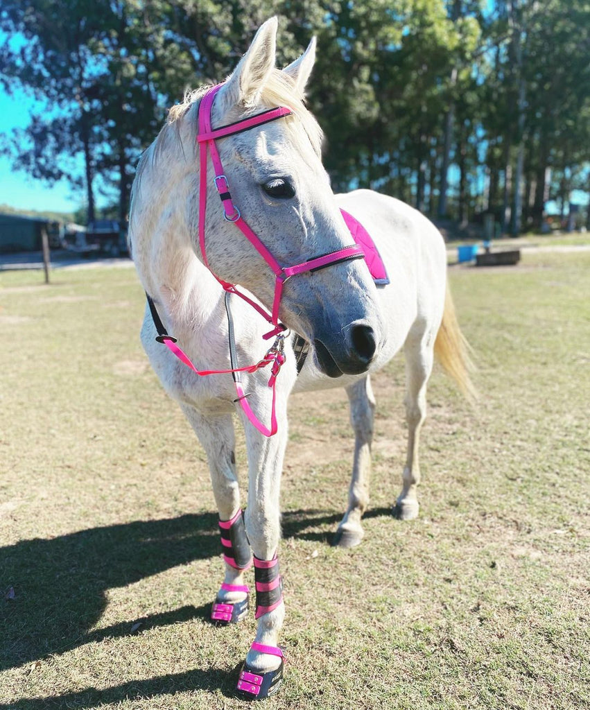 Votre cheval a-t-il des sabots friables et cassants ? Les pieds nus et les scoots pourraient être votre solution !