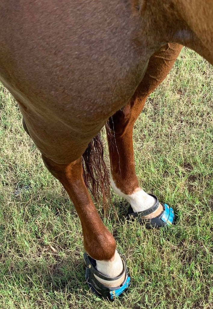 Does Your Horse Have Less Than Desirable Hooves? Barefoot Therapy May be the Answer!