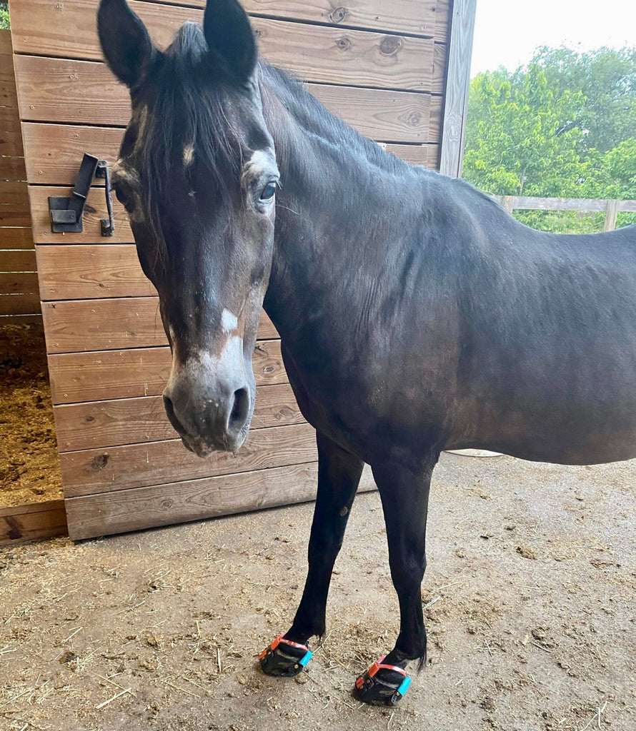 High heeled horse in Enduro hoof boots