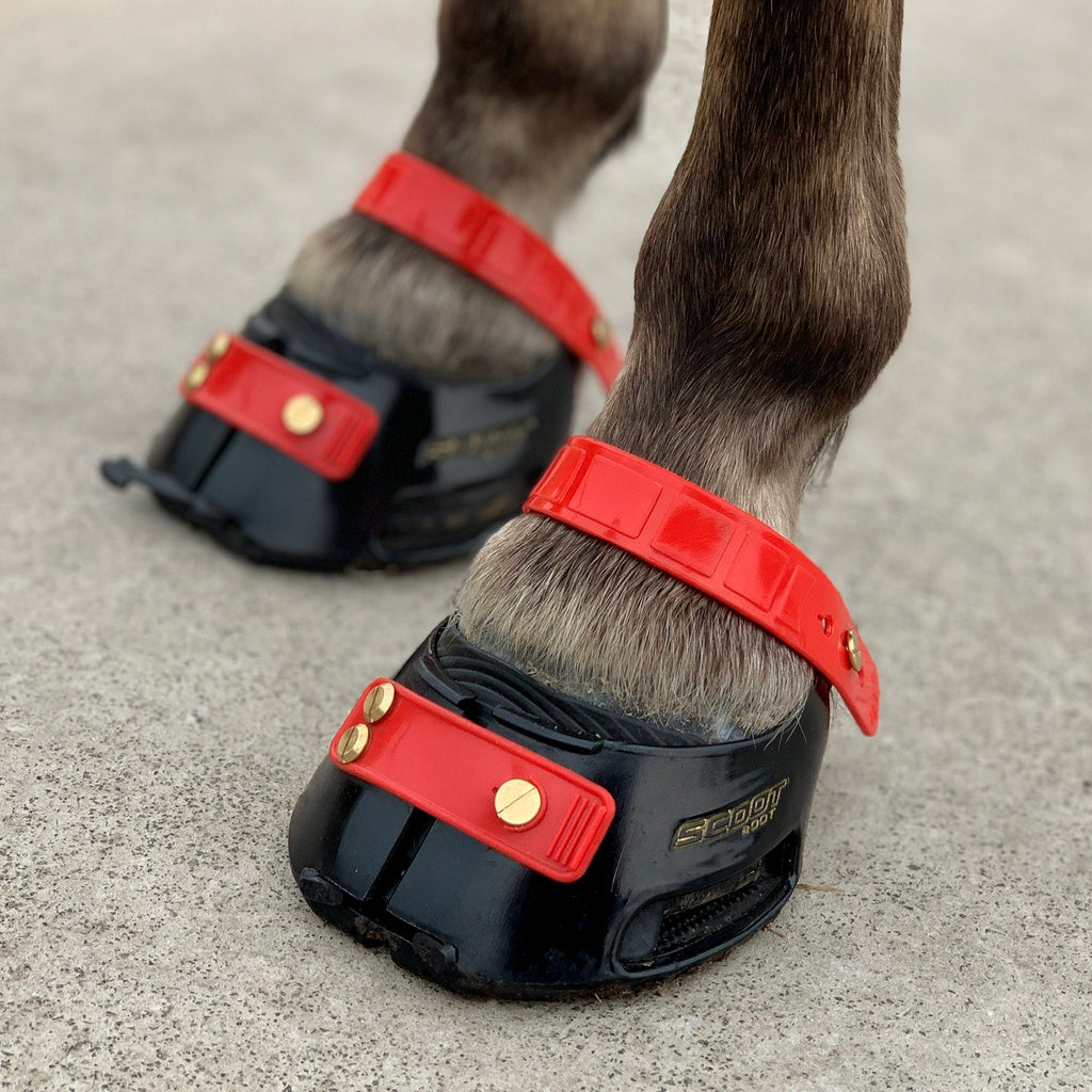 I Ride Dressage, can I use Hoof Boots?