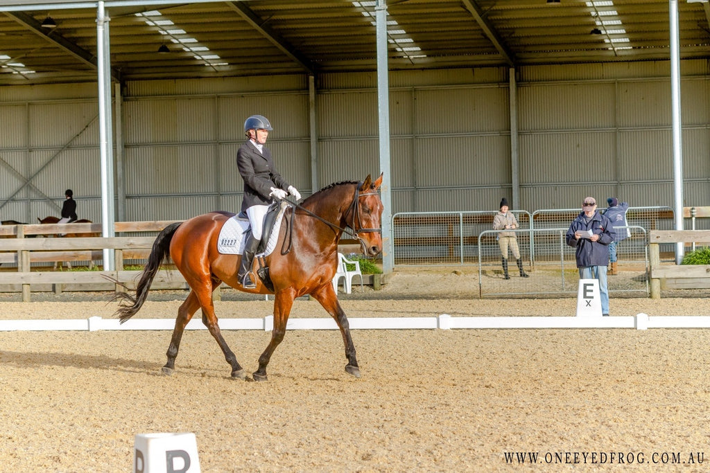 Is Your Horse Struggling With Thin Hoof Walls? Try Barefoot and Scooted!