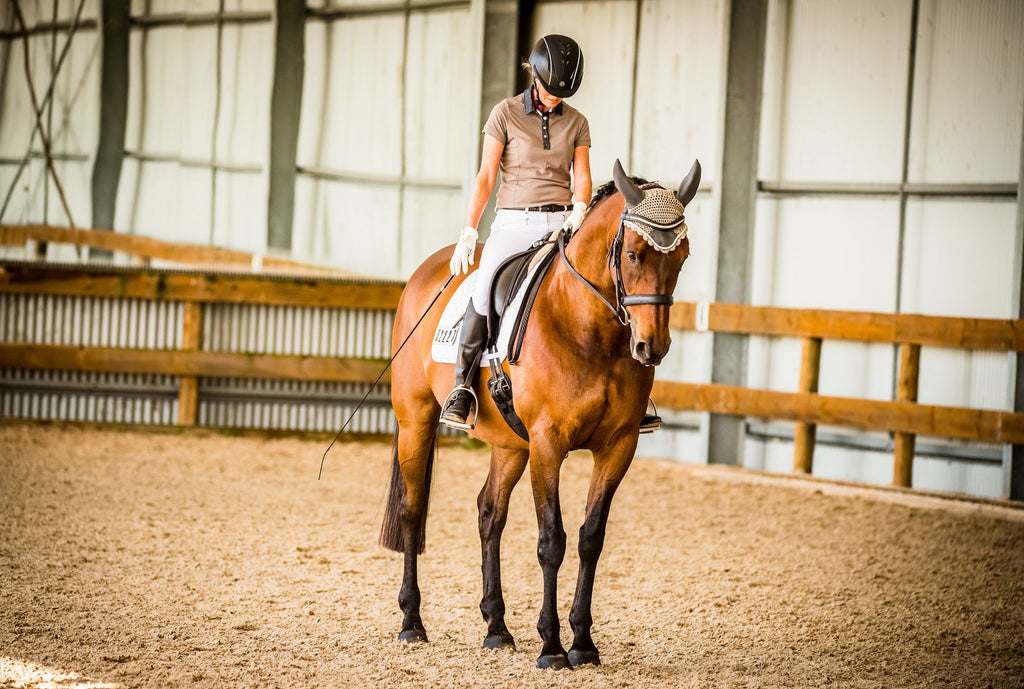 Votre cheval a-t-il des difficultés avec des parois de sabots minces ? Essayez pieds nus et scooter !