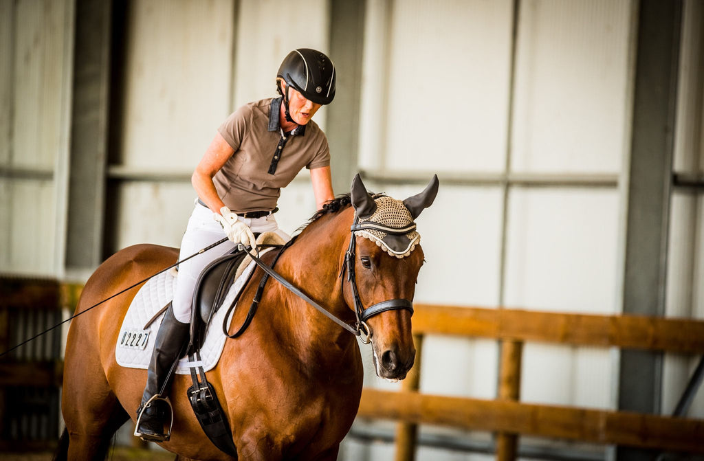 Is Your Horse Struggling With Thin Hoof Walls? Try Barefoot and Scooted!