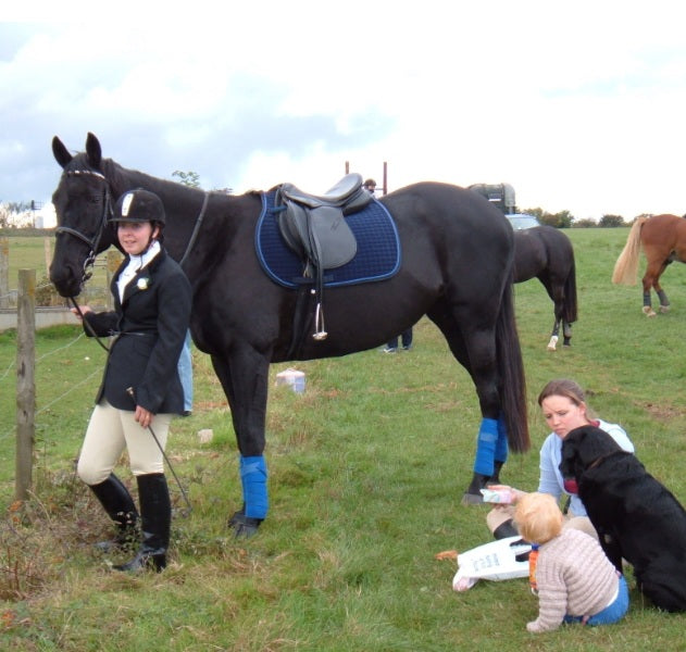 Is Your Horse Struggling with Cracks in Their Hooves? Barefoot may be the Answer!