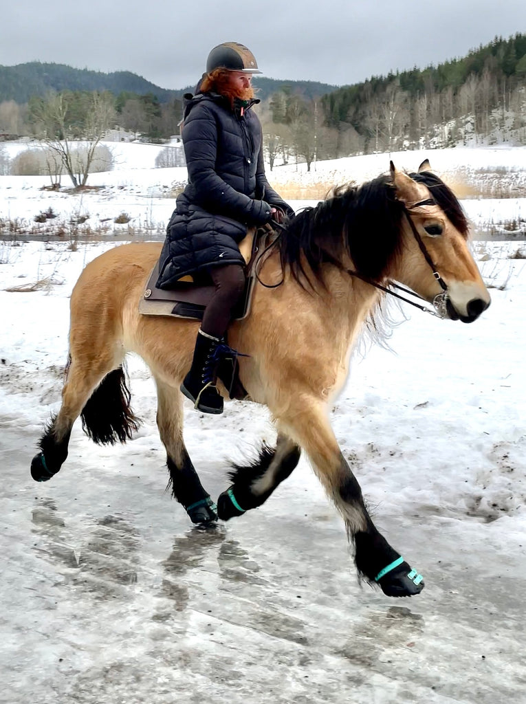 Scoot Boots avec crampons à glace