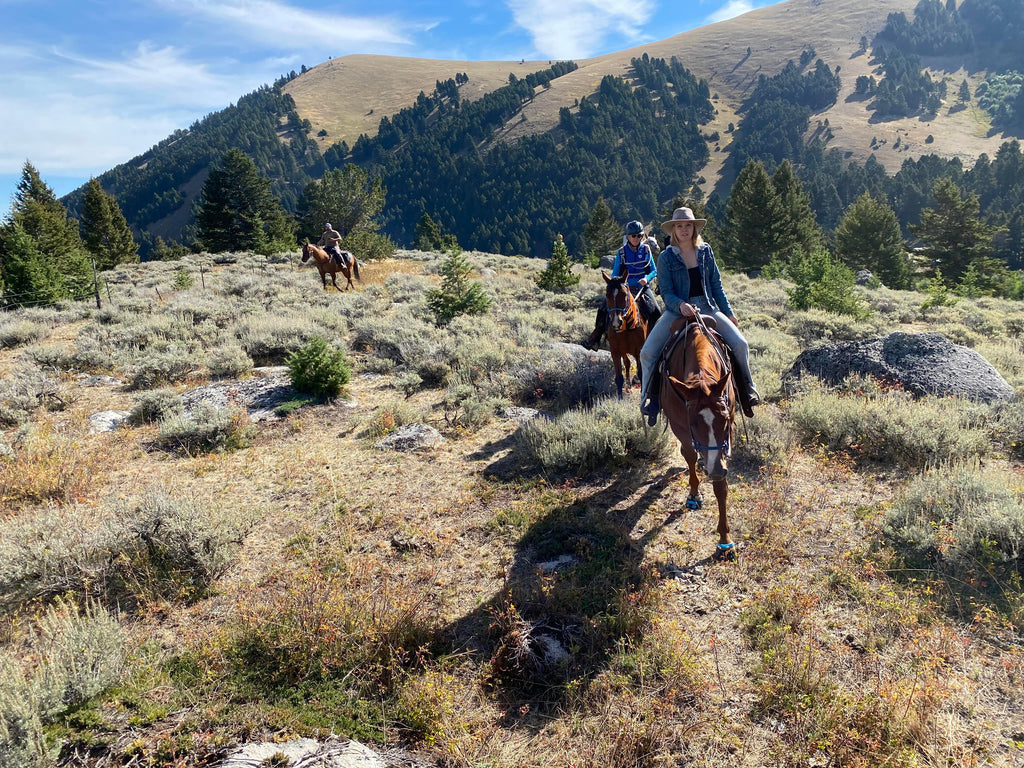 Scoot Boots Enduro MT Pony