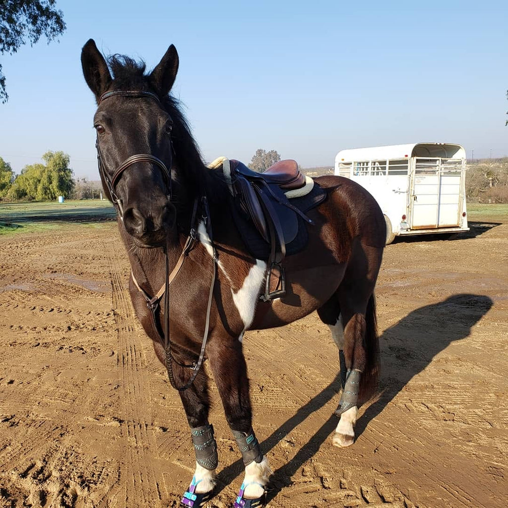 Mon cheval a des semelles fines, les bottes Scoot peuvent-elles le rendre plus confortable ?