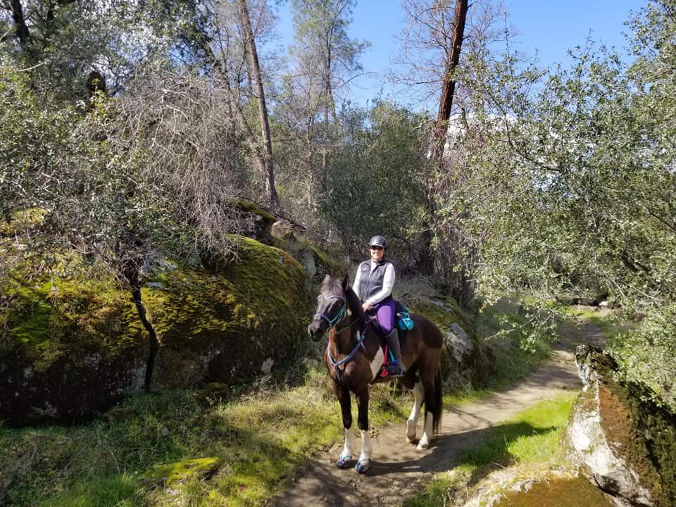 Mon cheval a des semelles fines, les bottes Scoot peuvent-elles le rendre plus confortable ?