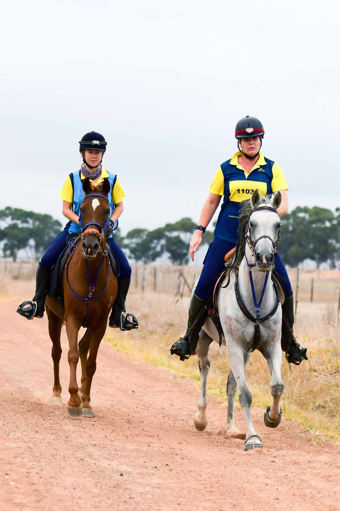 Riders competing in a riding competition on a grey and brown horse