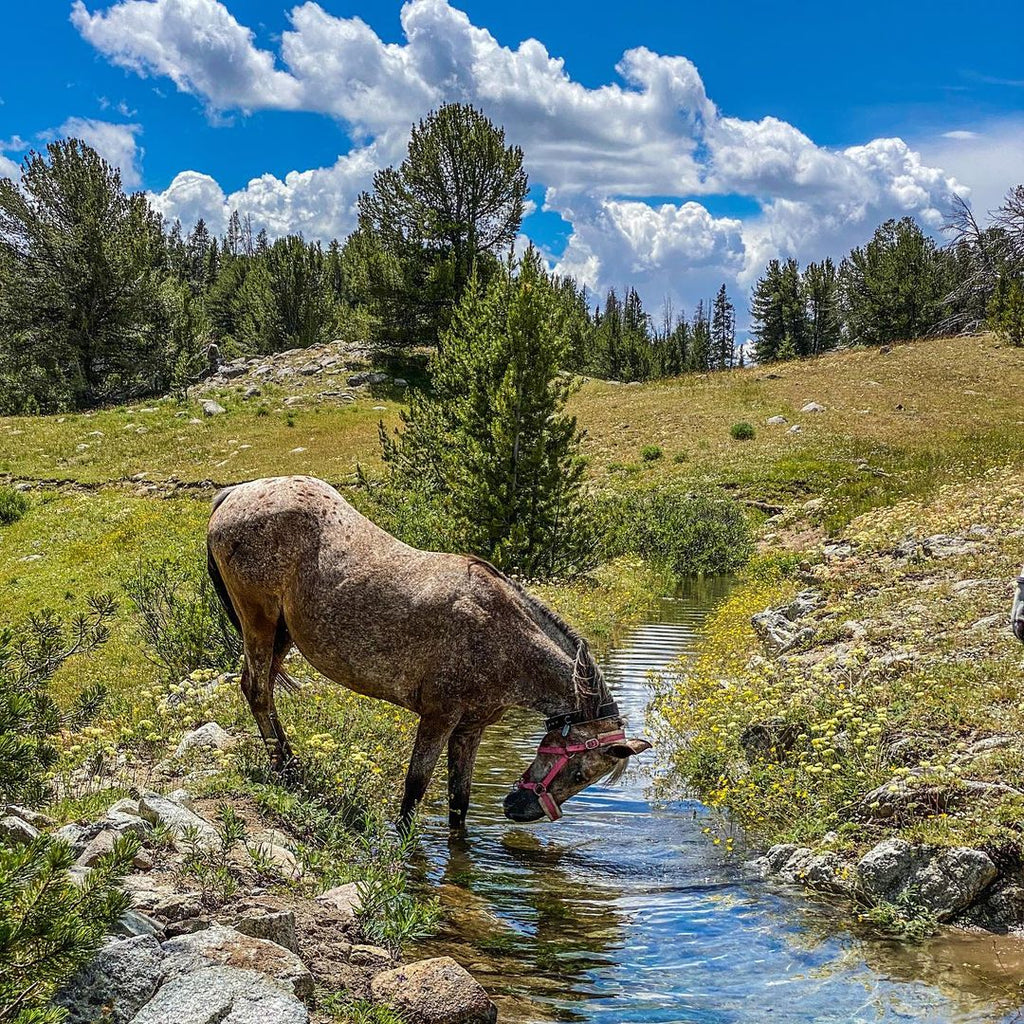 Riding Around the American Trails in Scoot Boots