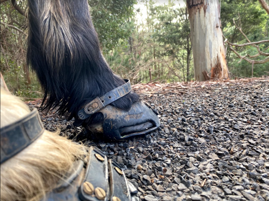 Make Sure you Avoid any Issues Along the Trail With the Help of Scoot Boots