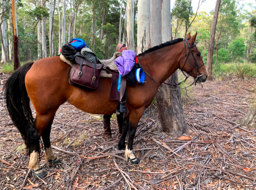 Make Sure you Avoid any Issues Along the Trail With the Help of Scoot Boots