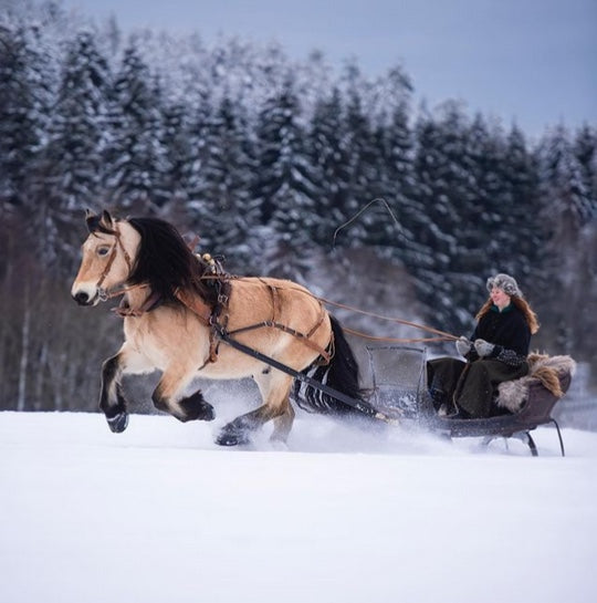 Conduire dans la neige avec des Scoot Boots