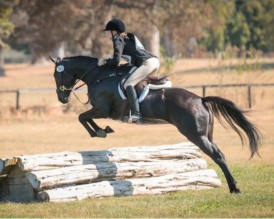 Lola Thoroughbred Scoot Boots