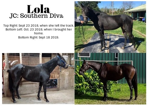 Transition de Lola