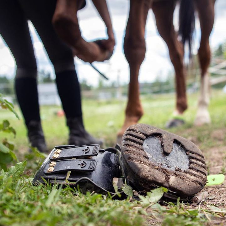 Scoot boots paddock 24/7 turnout