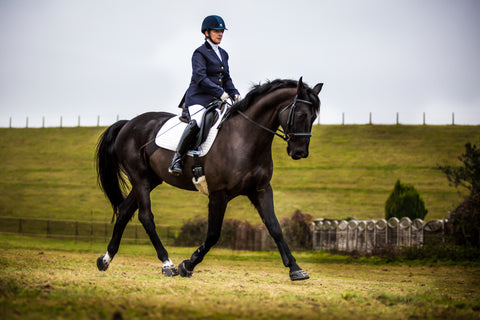 A dressage rider riding a black horse wearing Scoot Boots