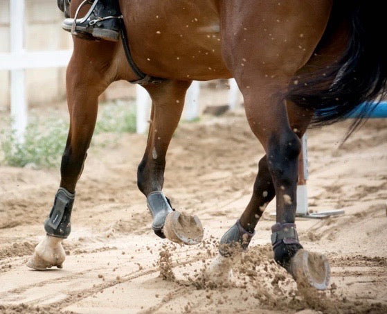 Les fers à cheval inhibent la fonction des sabots