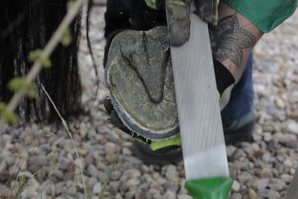 Barefoot trimming Scoot Boots