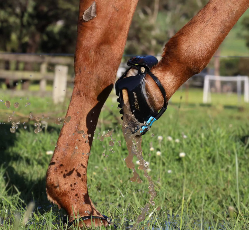 sabots de bottes scoot sur herbe mouillée