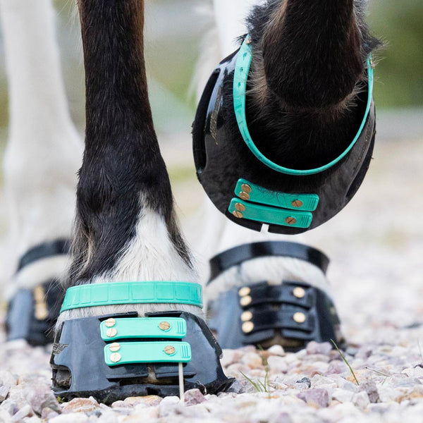 Front Strap Pack For Hoof Boots - Scoot Boots