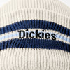 Dickies Tom Knox Beanie - Fog - Skates USA