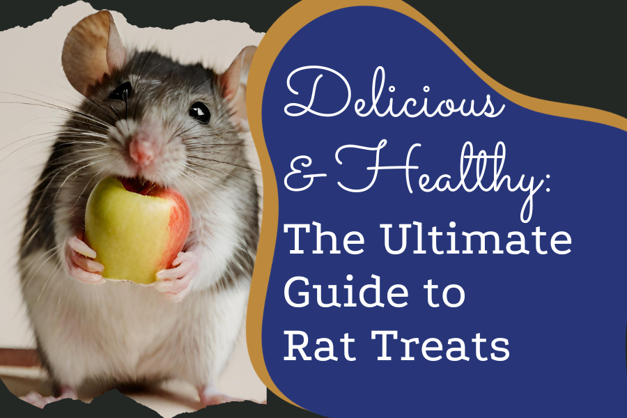 Delicious & Healthy The Ultimate Guide to Rat Treats