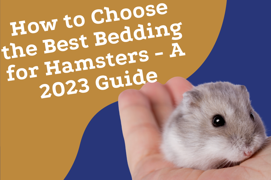 How to Choose the best bedding for hamsters (1)