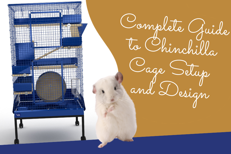 Mastering Chinchilla Cage Setup Tips, Tricks, and Expert Advice