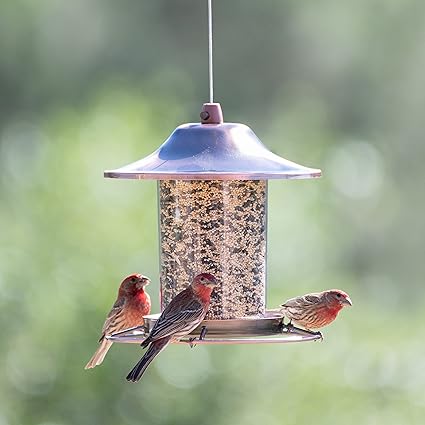 Perky-Pet Copper Panorama Hanging Bird Feeder