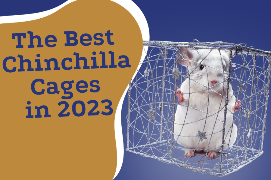 The Best Chinchilla Cages in 2023