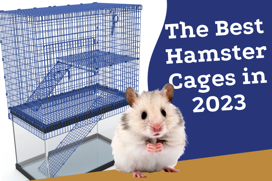 The Best Hamster Cages in 2023