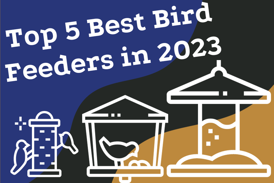 Top 5 Best Bird Feeders in 2023_ Reviews and Buying Guide