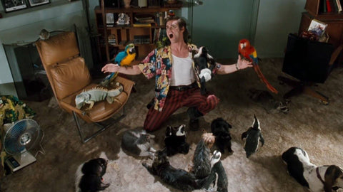 Ace Ventura scene where main character is surrounded by different kinds of pets.