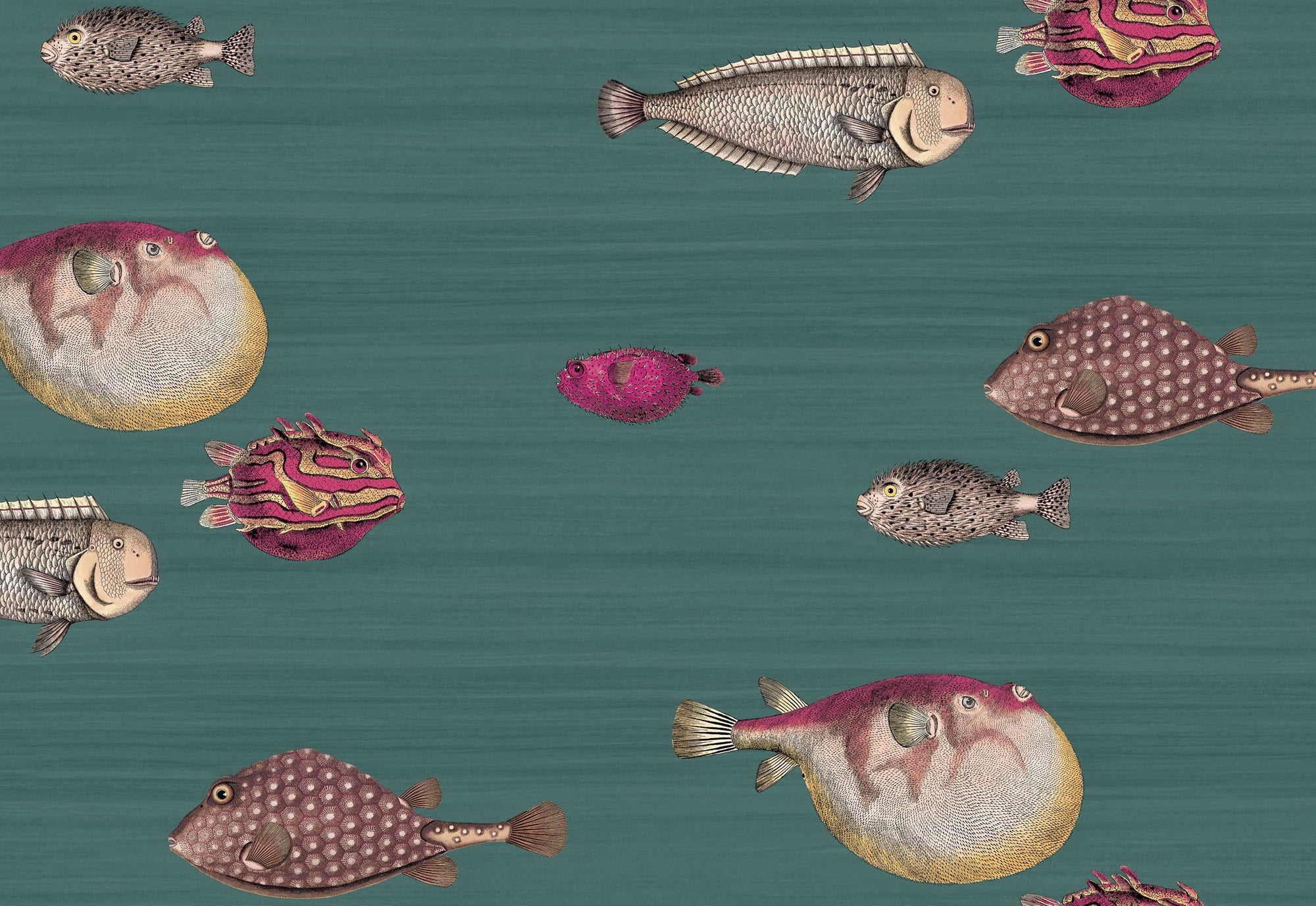 Cole and Son Acquario Wallpaper | TheAlleyEx.Com - The Alley Exchange