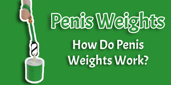Penis Weights - How Do Penis Weights Work? – Zen Hanger
