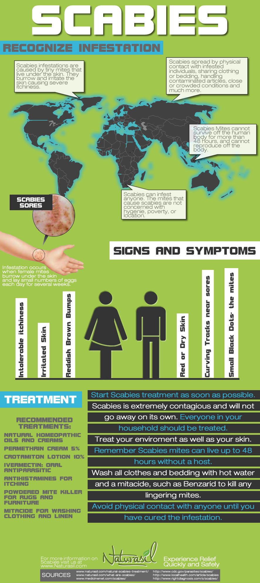 Scabies infographic