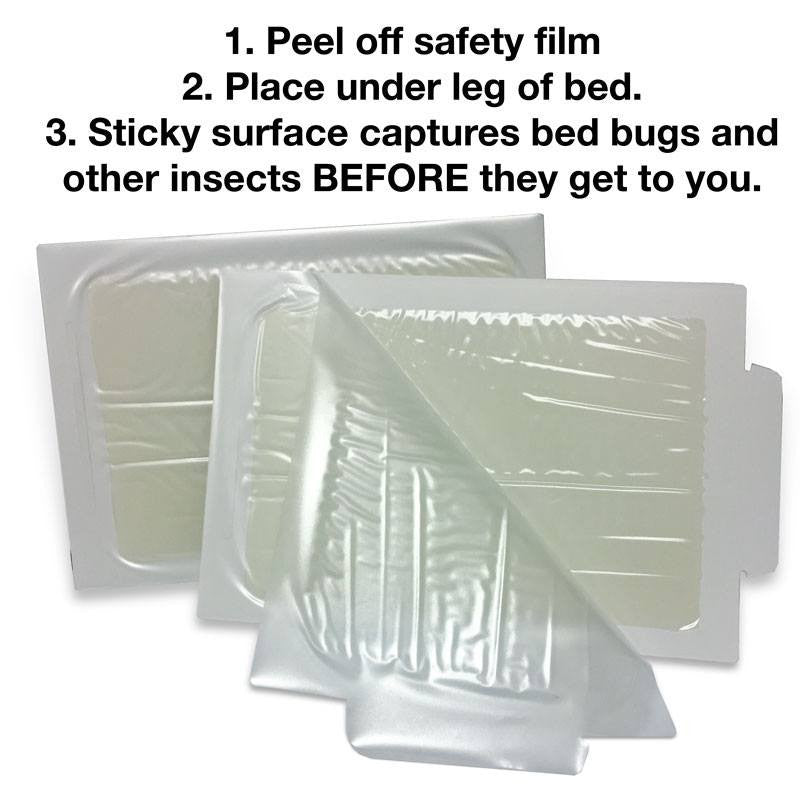 Bed Bug Traps - 8 count pack