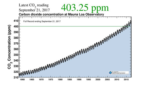 Carbon Dioxide Concentration at Mauna Loa Observatory