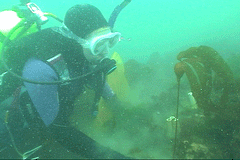 laura with baby kelp