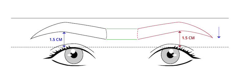 Tina Davies Case Study Brow Mapping with Eyebrow Axis Imbalance Solution 2