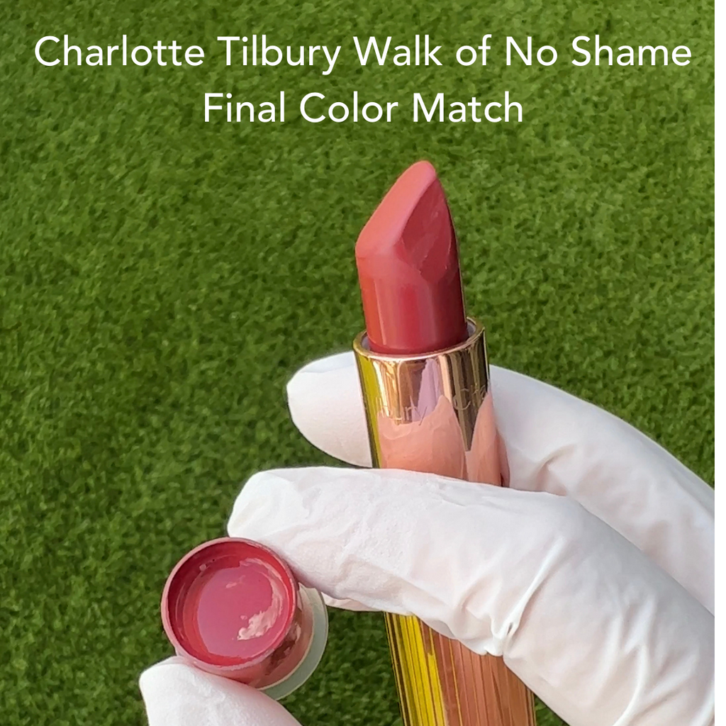 Charlotte Tilbury Walk of No Shame Color Match using Tina Davies and Perma Blend Lip Pigments