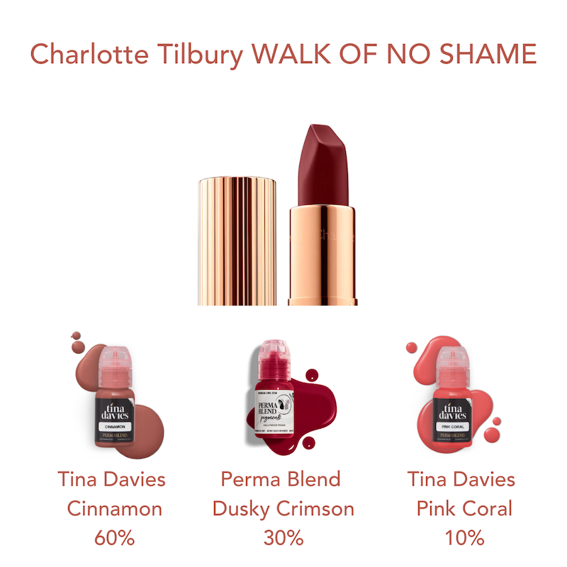 Charlotte Tilbury Walk of No Shame Lipstick Match using Tina Davies and Perma Blend Lip Pigments