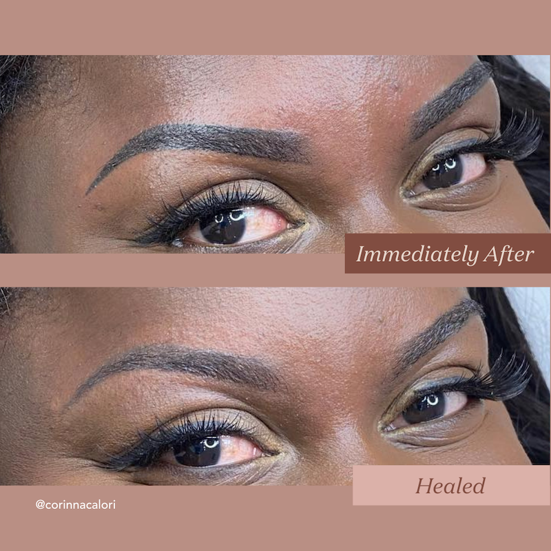 Tina Davies I Love Ink Ebony Brow Pigment Healed Results