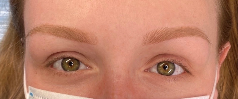 Healed Combination Permanent Makeup Eyebrow Case Study in Toffee